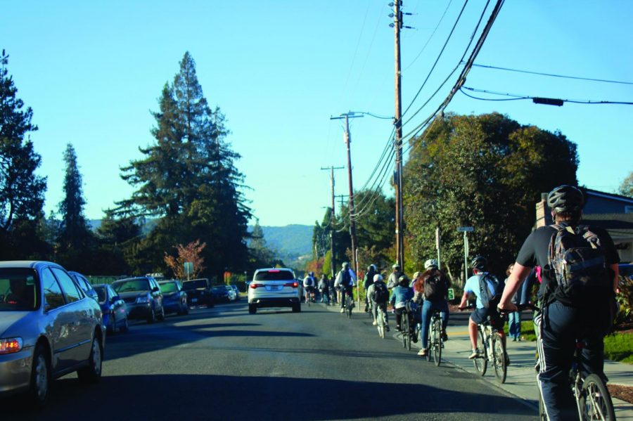 Accident raises concerns regarding bike safety