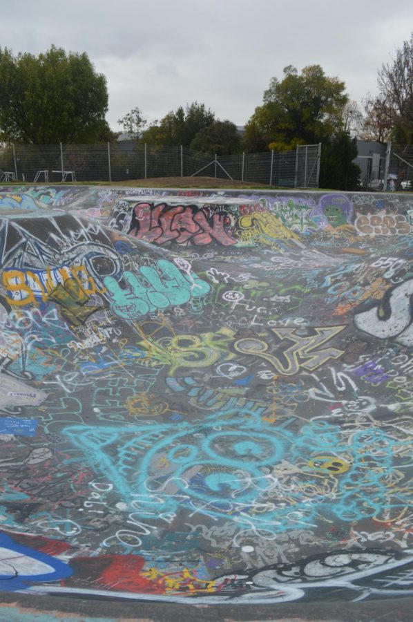 Greer Skate Park