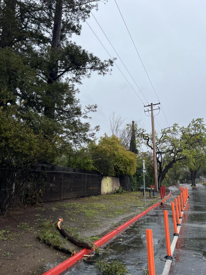 A tree branch falls on overhead power lines, causing a large park.