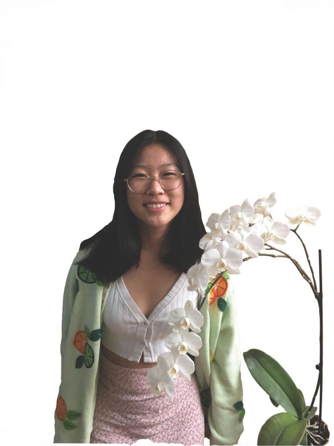 Staffer raises family orchids