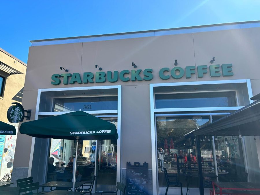 Con: Should students avoid shopping at big businesses?
