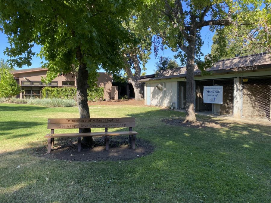 Hidden gems: Grassy haven