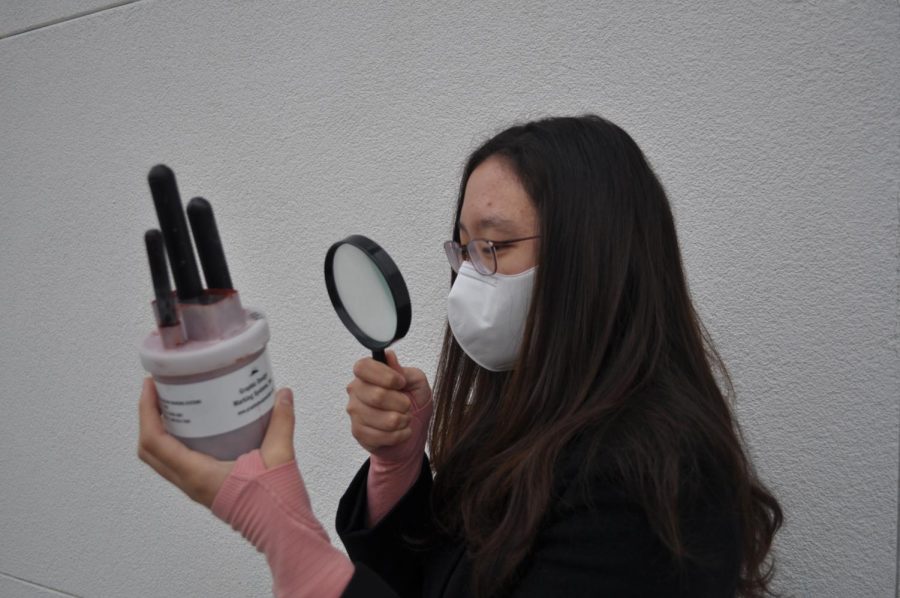 Sophia Hwangbo paints a picture of Mixed Arts Club