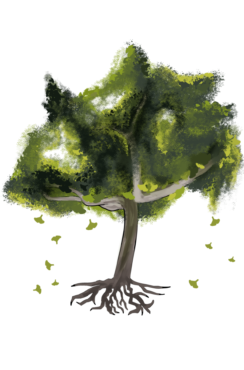Nature’s Titans: Guide to trees on campus