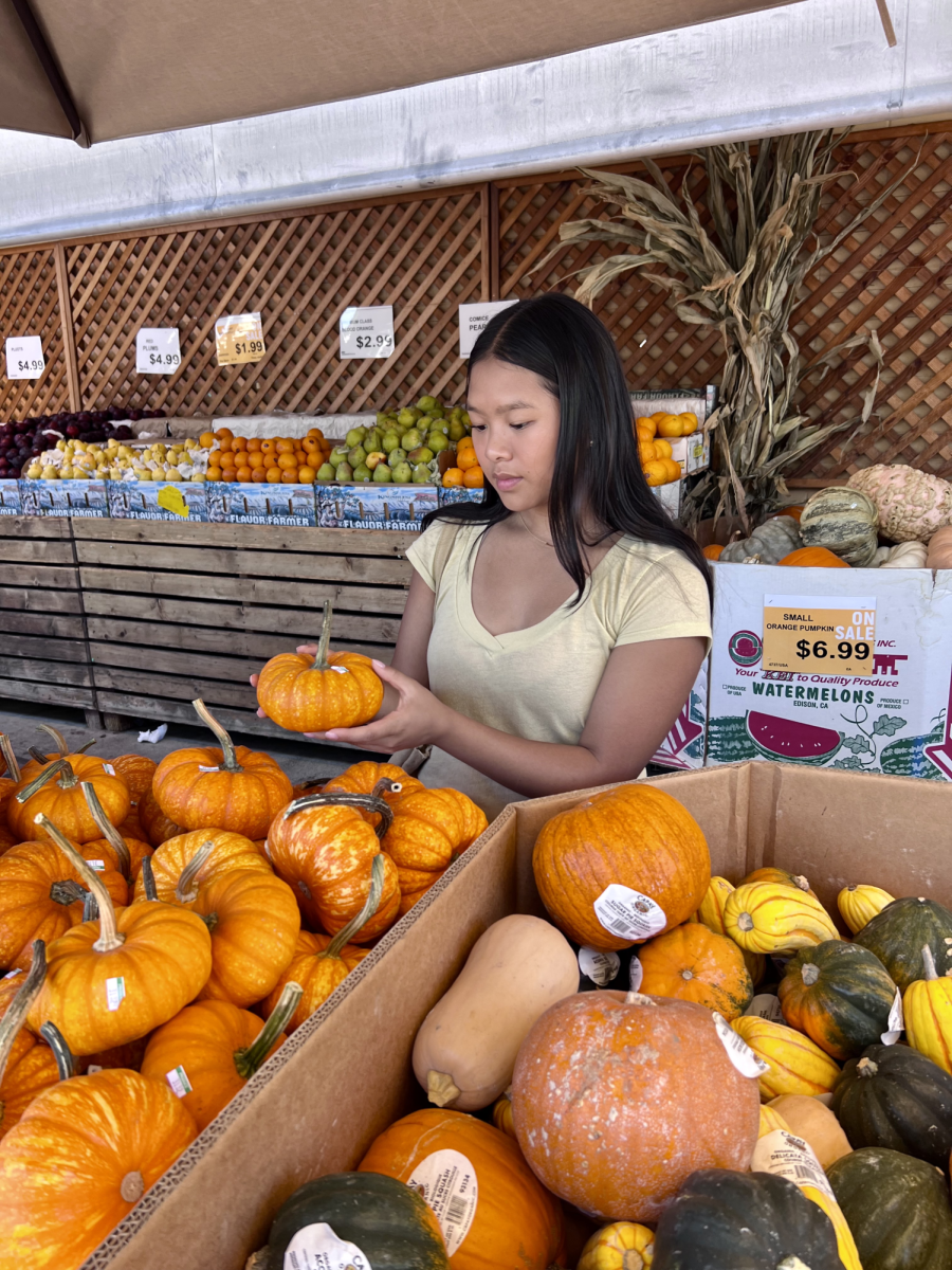 The Oracle staffer tries fall recipes