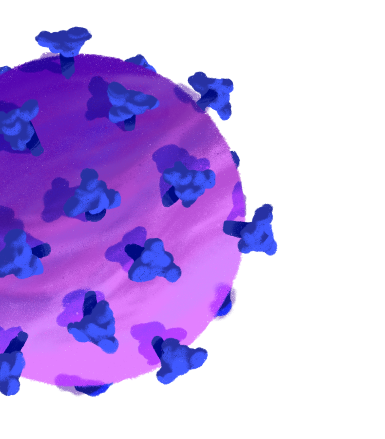 PAUSD community adapts COVID-19 protocols to Omicron presence