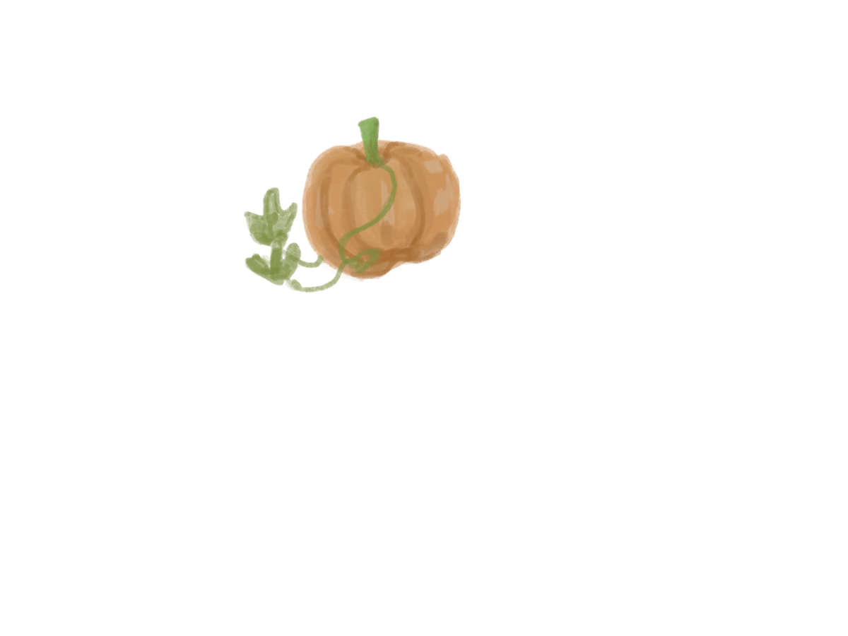 pumpkin
