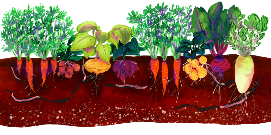 Graphic by Jocelyn Wang
