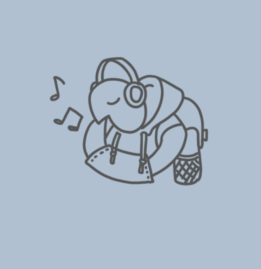 Hidden in Hoodie