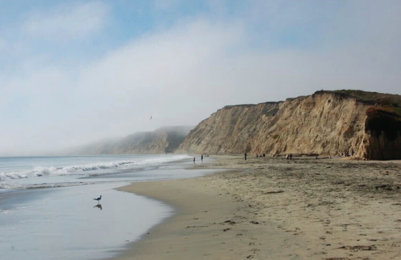 Point Reyes provides many scenic trails along the coast.